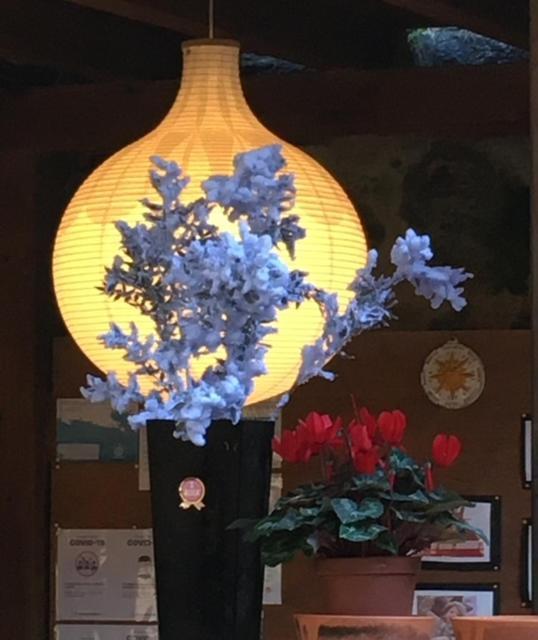 Villa Clelia 레반토 외부 사진