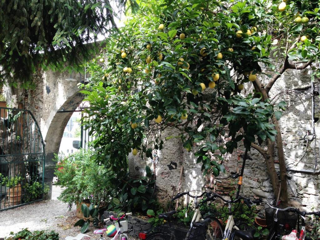 Villa Clelia 레반토 외부 사진